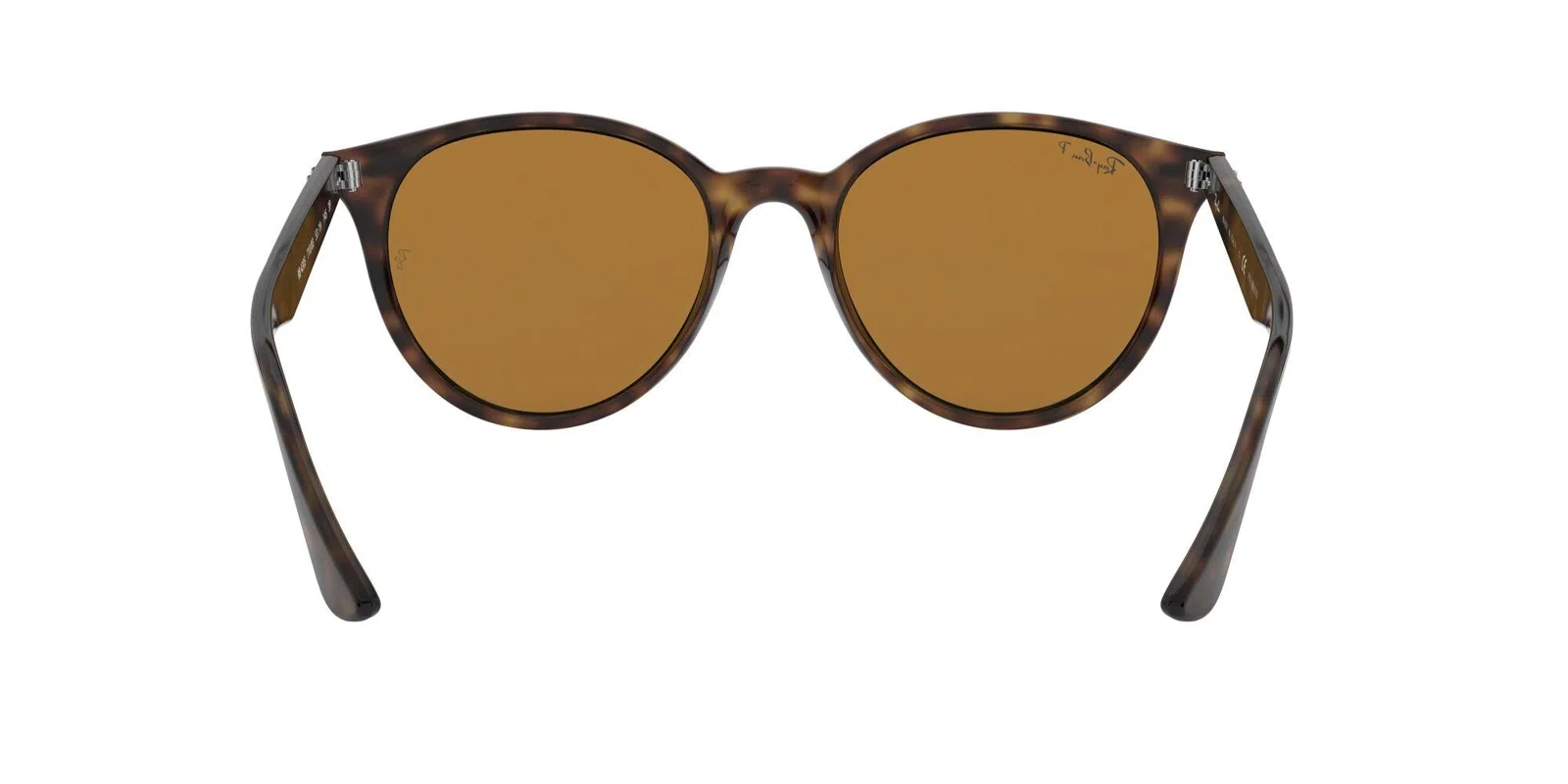 Ray-Ban 4305 Sunglasses - view 17